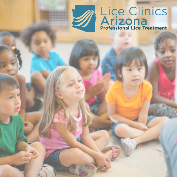 Educating Students On Lice Prevention In Schools Lice Clinics Arizona